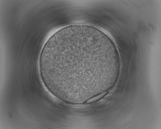 X0000111161440200907281144