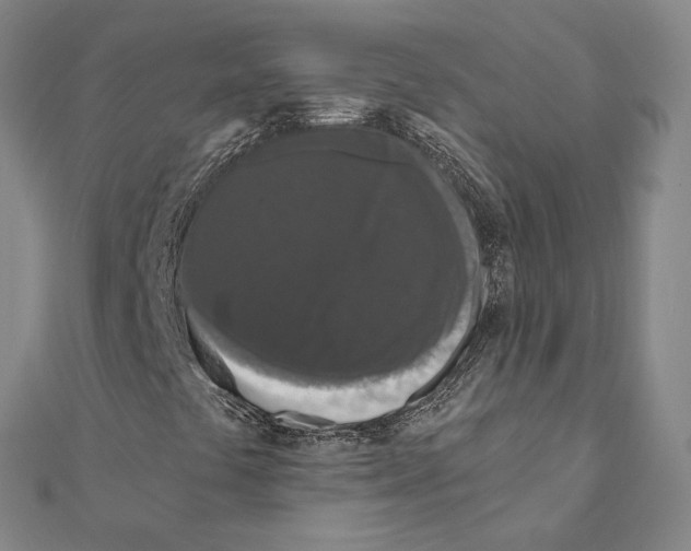 X0000111161441200907281143