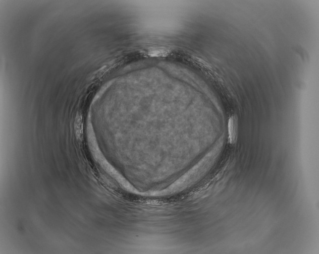 X0000111161443200907281143