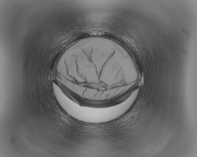 X0000111161444200907281143