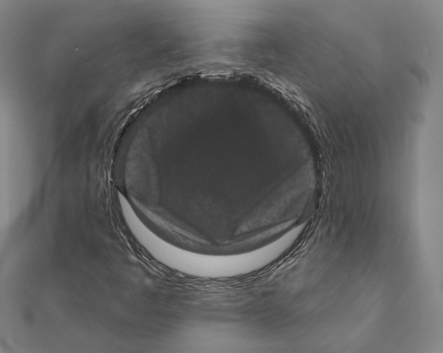 X0000111161445200907281143