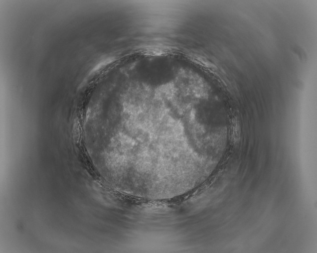 X0000111161446200907281143