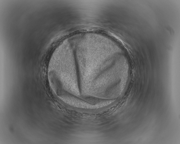 X0000111161447200907281143