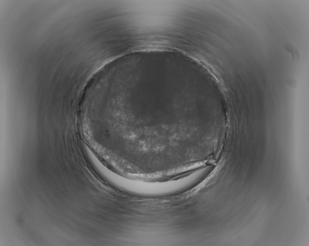 X0000111161449200907281143