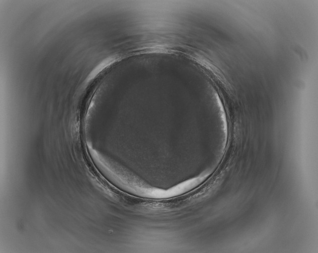 X0000111161450200907281143