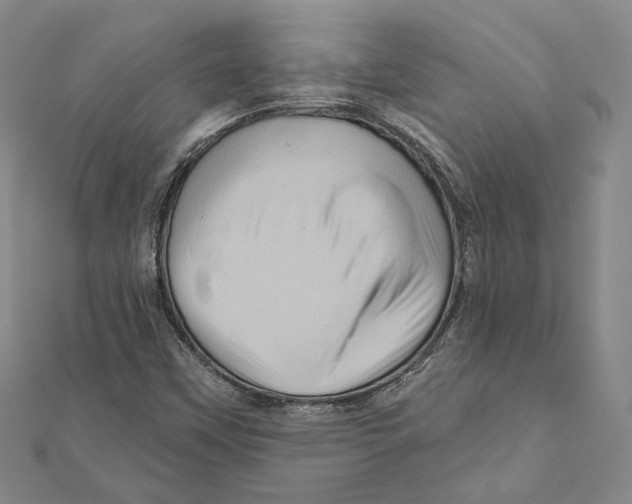 X0000111161451200907281143