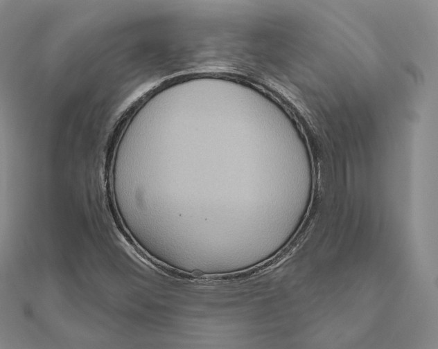 X0000111161452200907281143