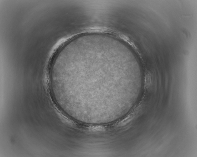 X0000111161454200907281143