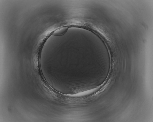 X0000111161455200907281143