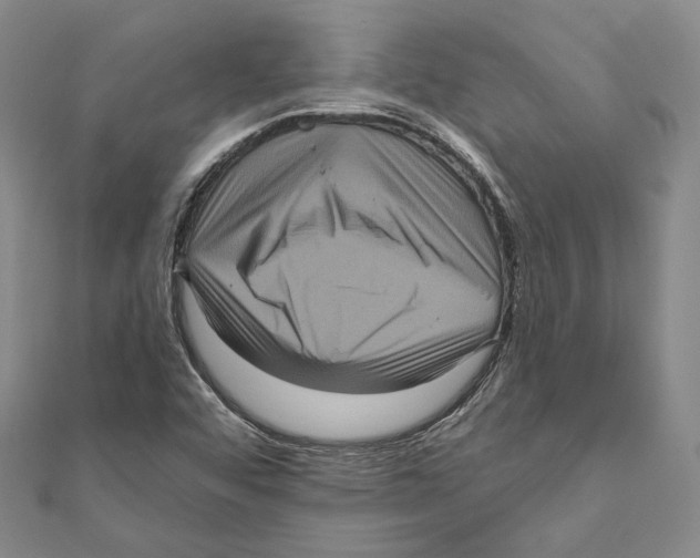 X0000111161456200907281143