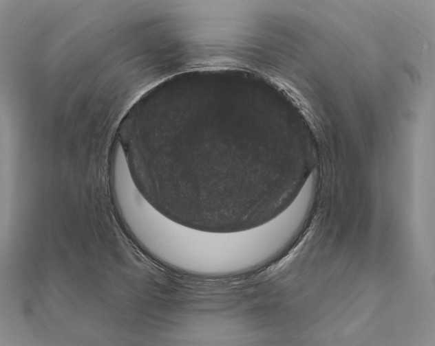 X0000111161457200907281143