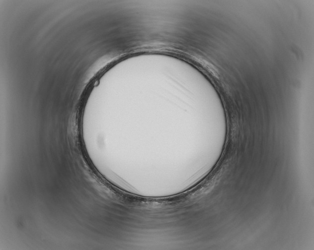 X0000111161458200907281143