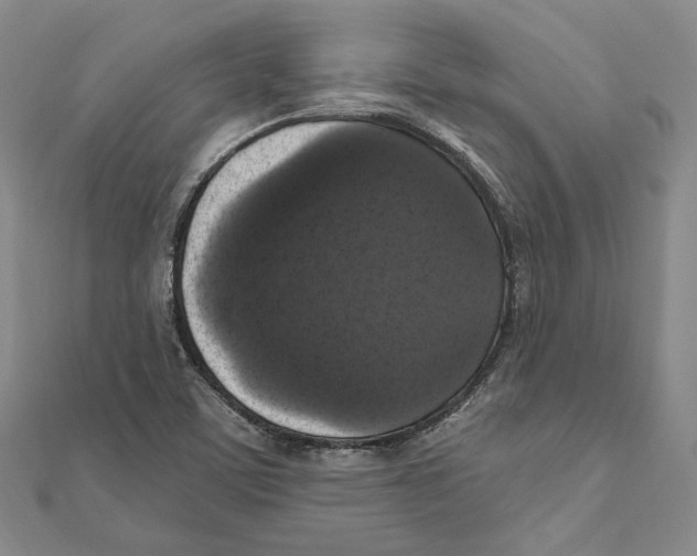 X0000111161459200907281143