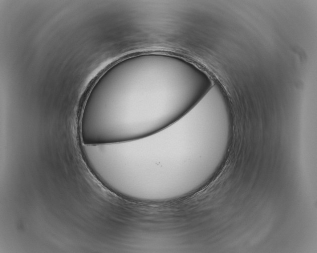 X0000111161460200907281143