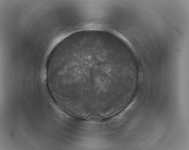 X0000111161461200907281143