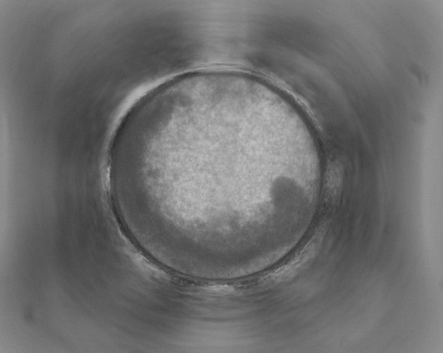 X0000111161462200907281143