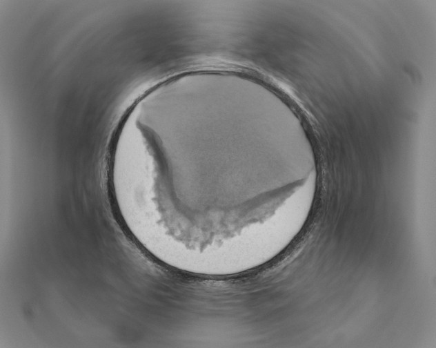 X0000111161463200907281143