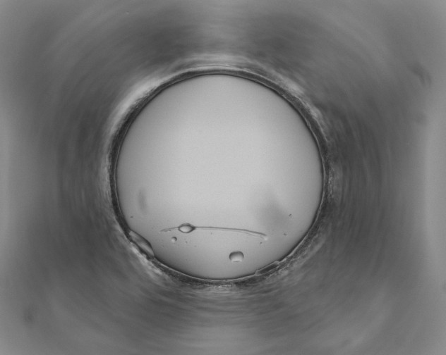 X0000111161464200907281143