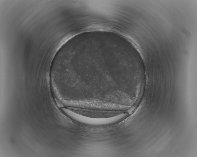 X0000111161465200907281143