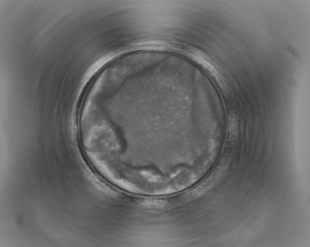 X0000111161466200907281143