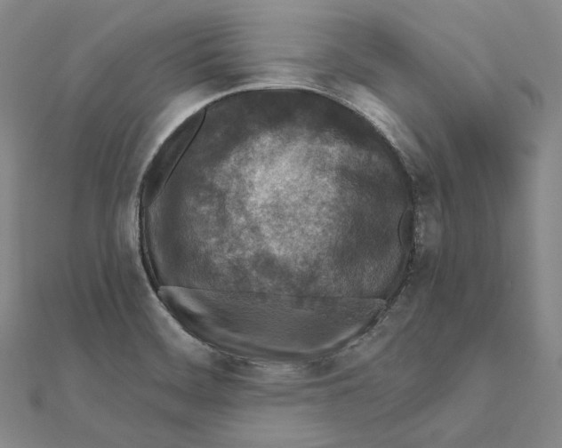 X0000111161468200907281143