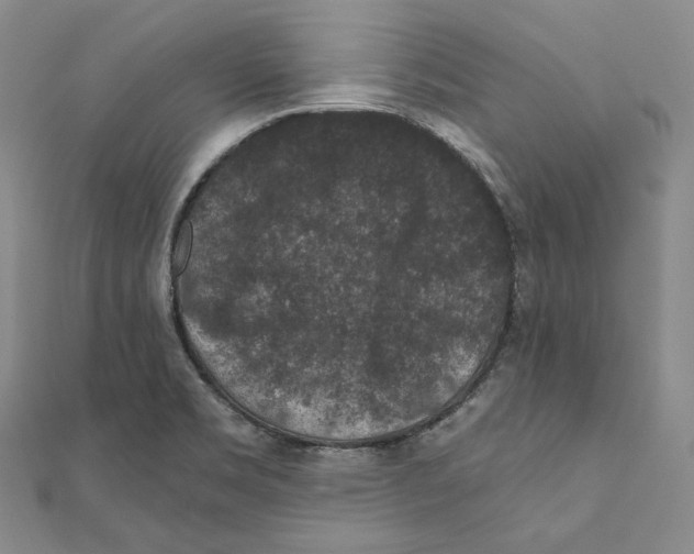 X0000111161469200907281143