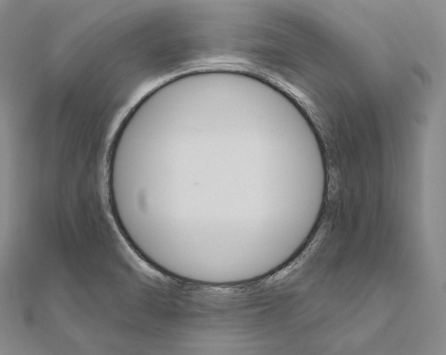 X0000111161470200907281143