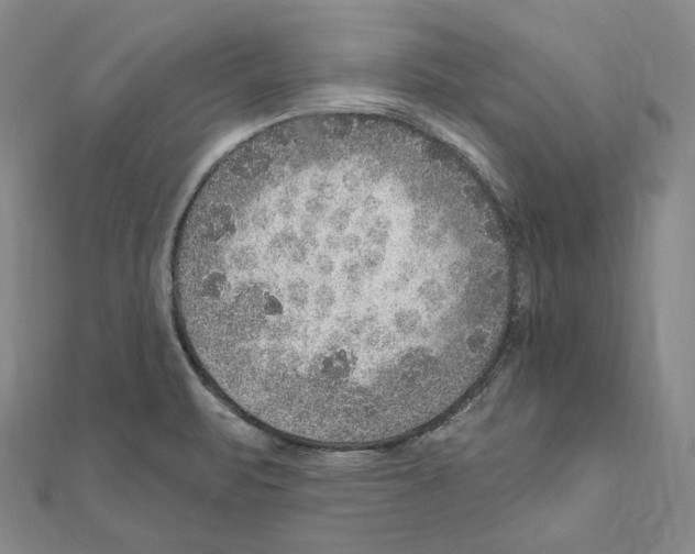 X0000111161471200907281143