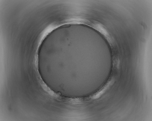 X0000111161472200907281143