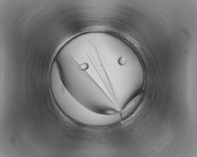 X0000111161473200907281143