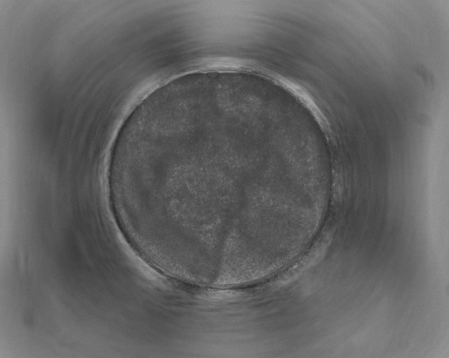 X0000111161475200907281143