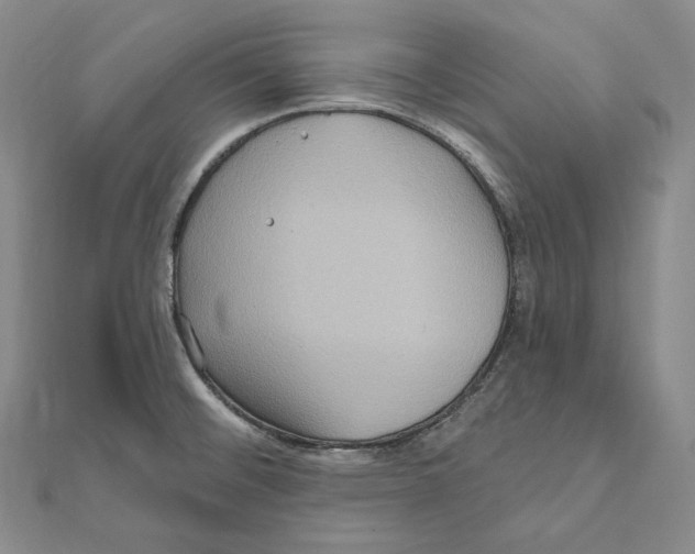 X0000111161476200907281143