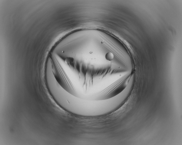 X0000111161477200907281143