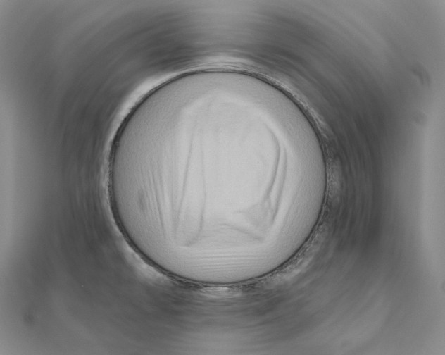 X0000111161478200907281143