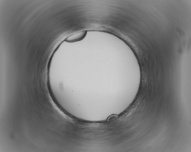 X0000111161479200907281143