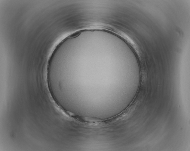 X0000111161480200907281143