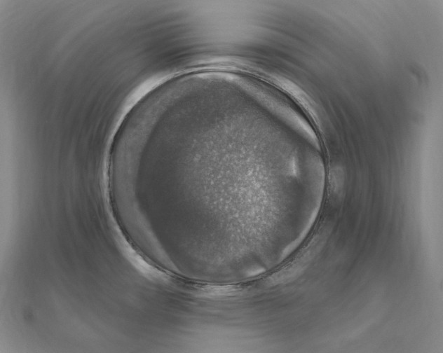 X0000111161482200907281143