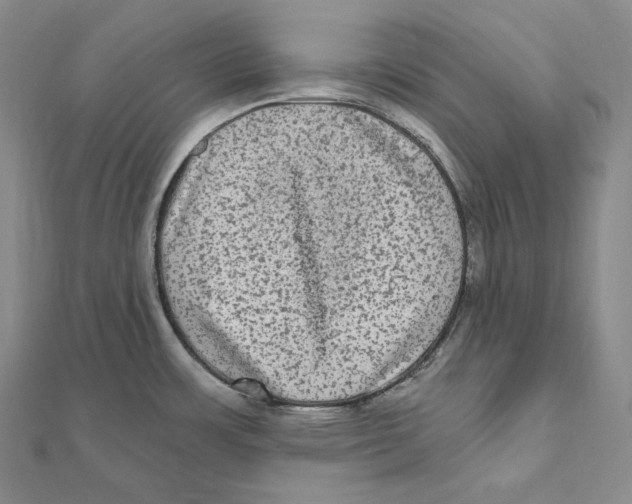 X0000111161483200907281143