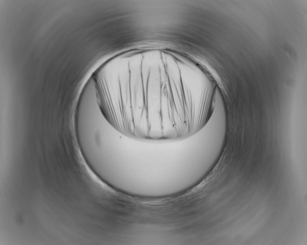 X0000111161484200907281143