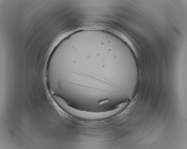 X0000111161485200907281143