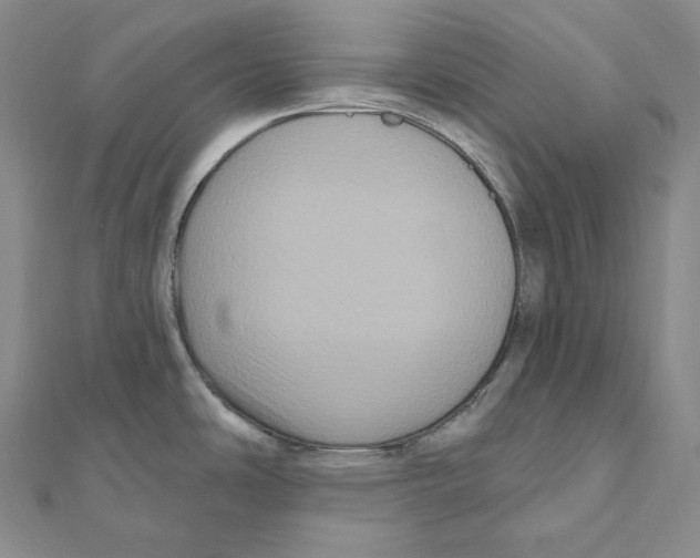 X0000111161486200907281142