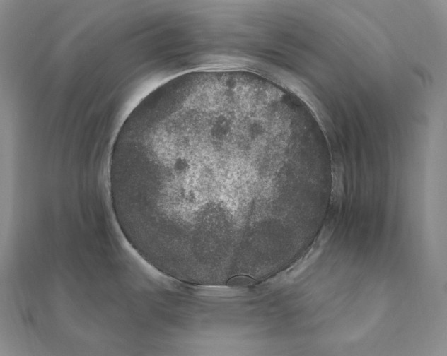 X0000111161487200907281142