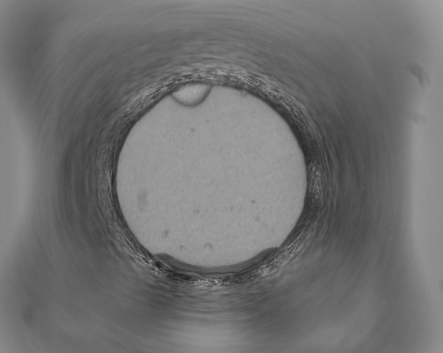 X0000111161489200907281142