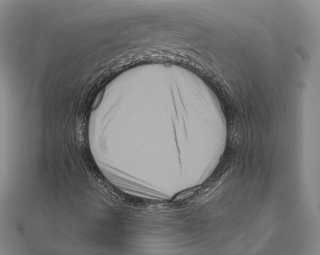 X0000111161490200907281142