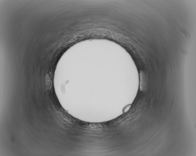 X0000111161491200907281142