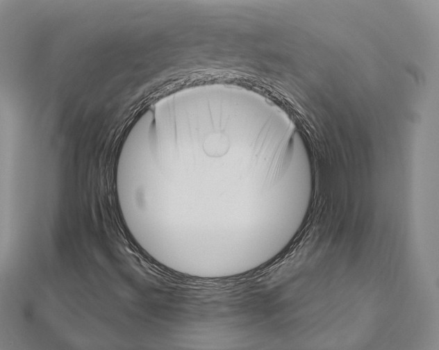 X0000111161492200907281142