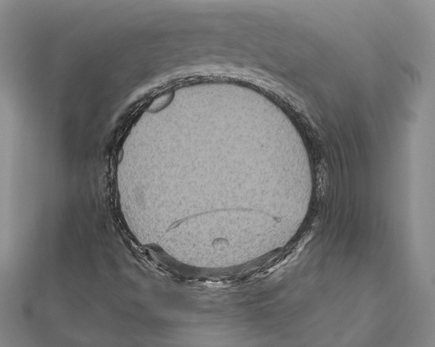 X0000111161494200907281142