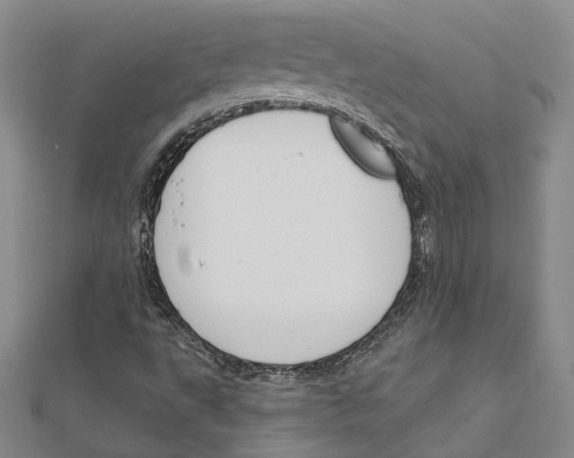 X0000111161495200907281142