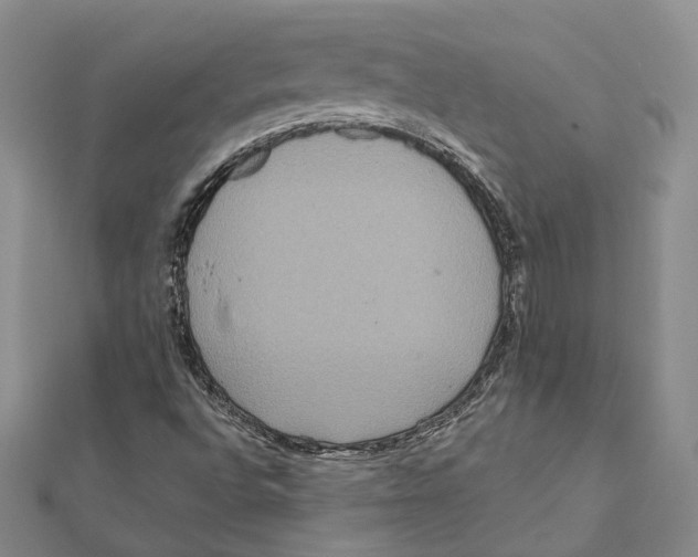 X0000111161496200907281142