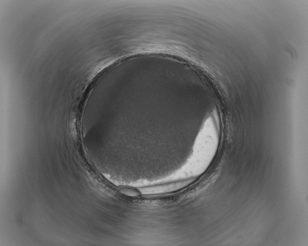 X0000111161497200907281142